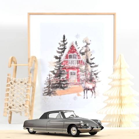 DS 19 Le Dandy Grey and