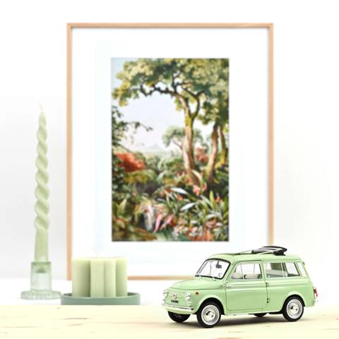 500 Giardiniera Oasis