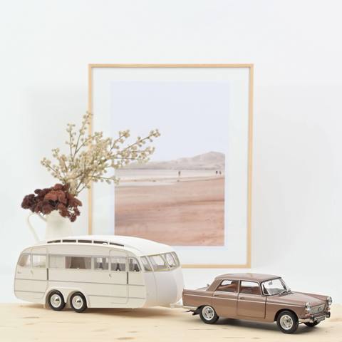 404 Brown metallic with Caravan Henon