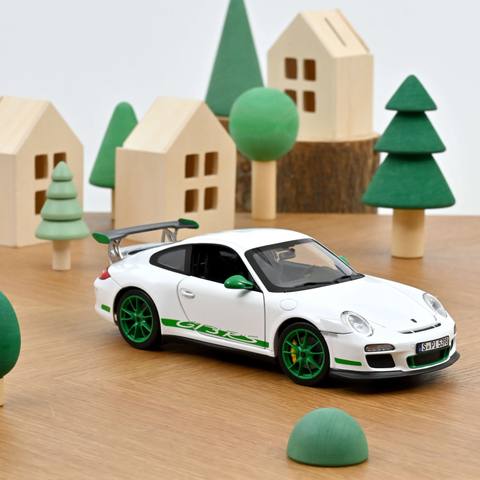 Porsche 911 GT3 RS 2009 White and Python Green