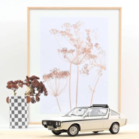 17 Gordini Decouvrable