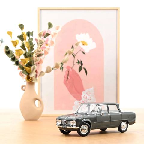 Alfa Romeo Giulia TI Graphite