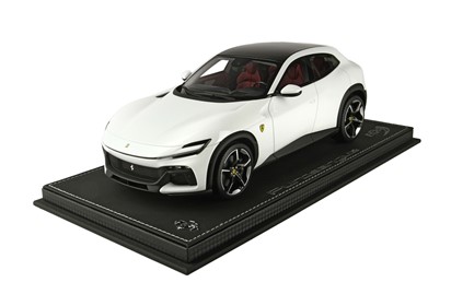 Purosangue White cervino