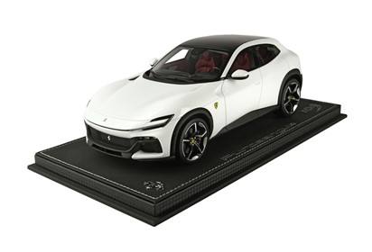 Purosangue White cervino