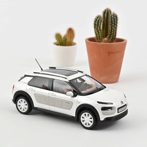 C4 CactusW PearlWhite