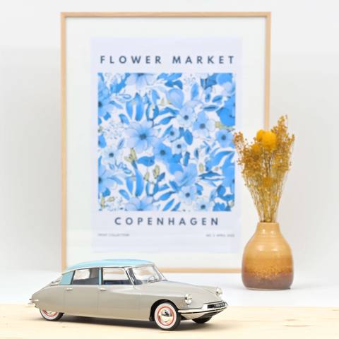 DS 19 Rose Grey and Turquoise