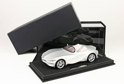 Gina concept with display case