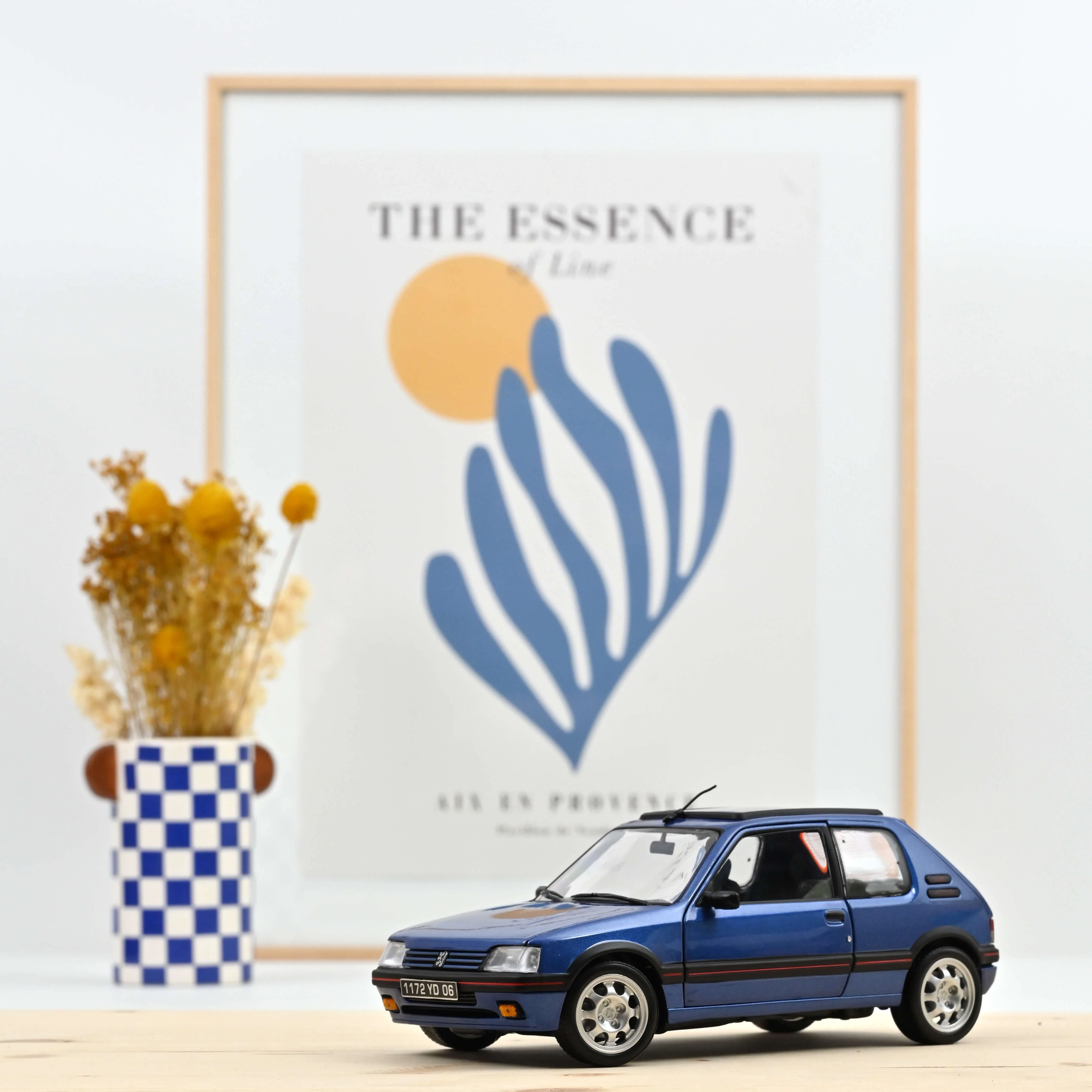 205 GTi 1.9 with windowroof Miami