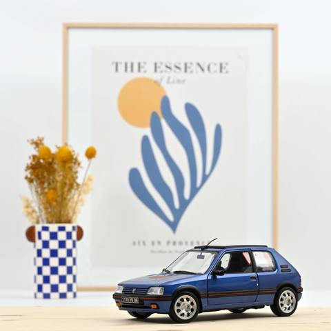 205 GTi 1.9 with windowroof Miami