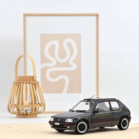 205 GTi Collection Graphite