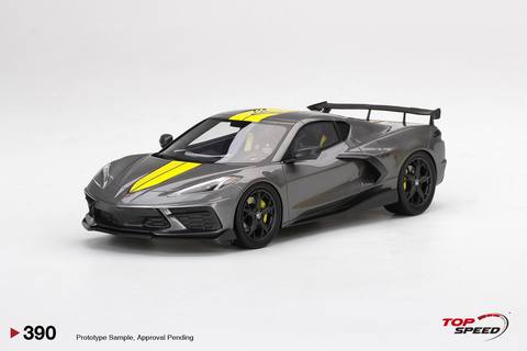 Corvette Stingray IMSA GTLM Championship Edition Hypersonic Gray Resin Model