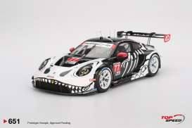 2025 Porsche 911 (992) GT3 R #77GTD PRO AO Racing Petit Le Mans, white/black/red
