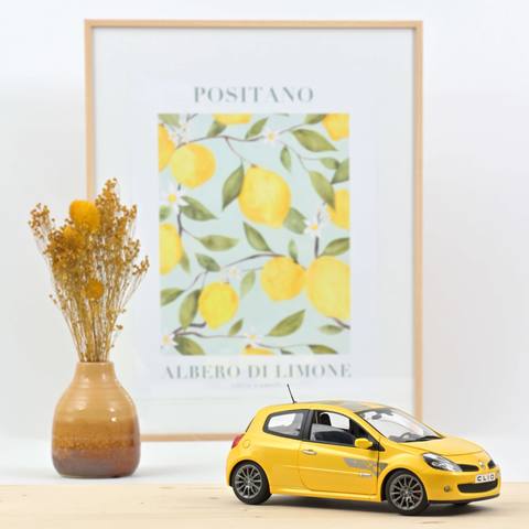 Clio R.S. F1 Team 2007 Sirius Yellow