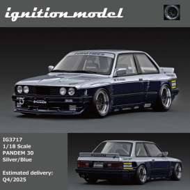 PANDEM 30, silver/blue