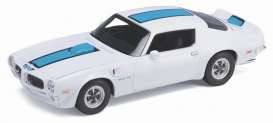 Firebird Trans Am, white with blue stripe