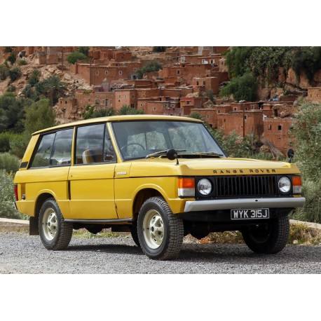 Yellow 1970 Almost Real ALM8110103