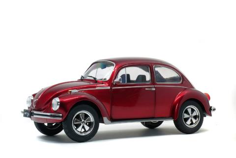 Beetle 1303