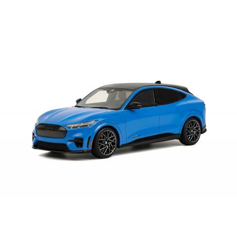 Mustang Mach-E GT Performance Grabber